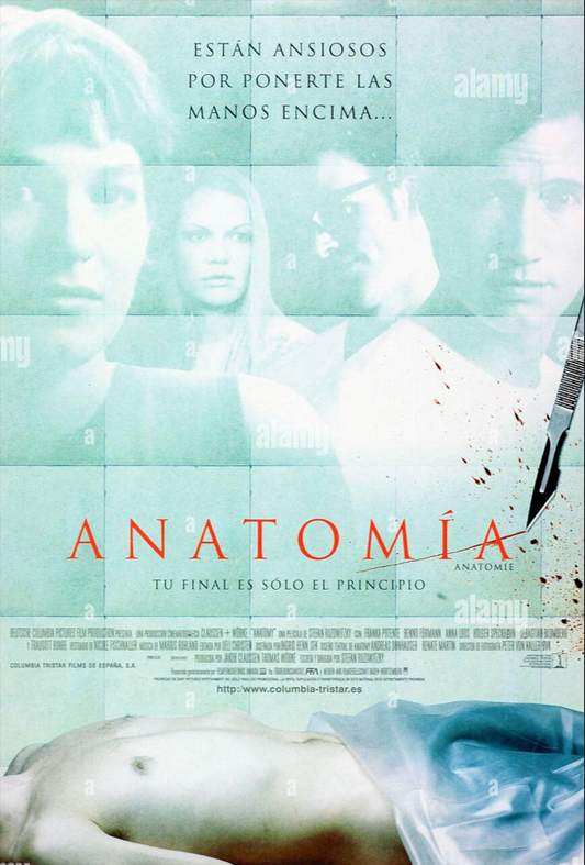 DVD Anatomia - Usado