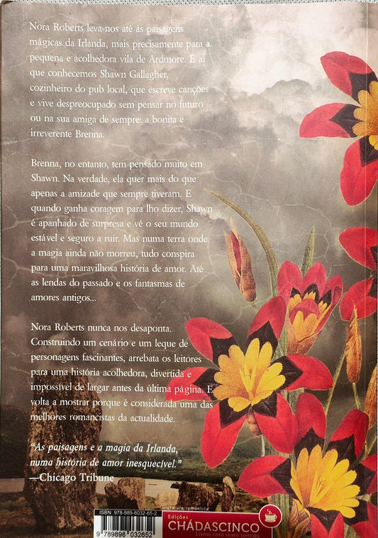 LIVRO As Lágrimas da Lua Trilogia Irlandesa - Vol. 2 de Nora Roberts - USADO