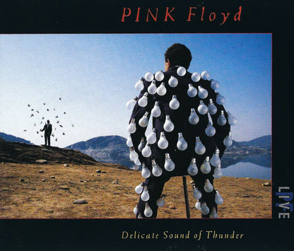 CD - Pink Floyd – Delicate Sound Of Thunder - USADO