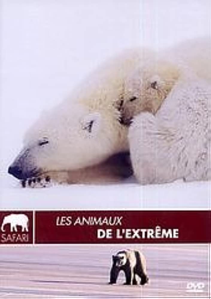 DVD Les Animaux De L` Extrême - Usado