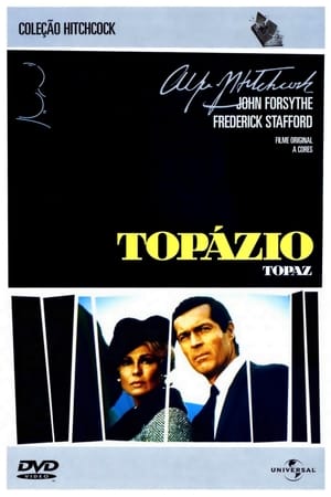 DVD LIVRO Topázio-USADO