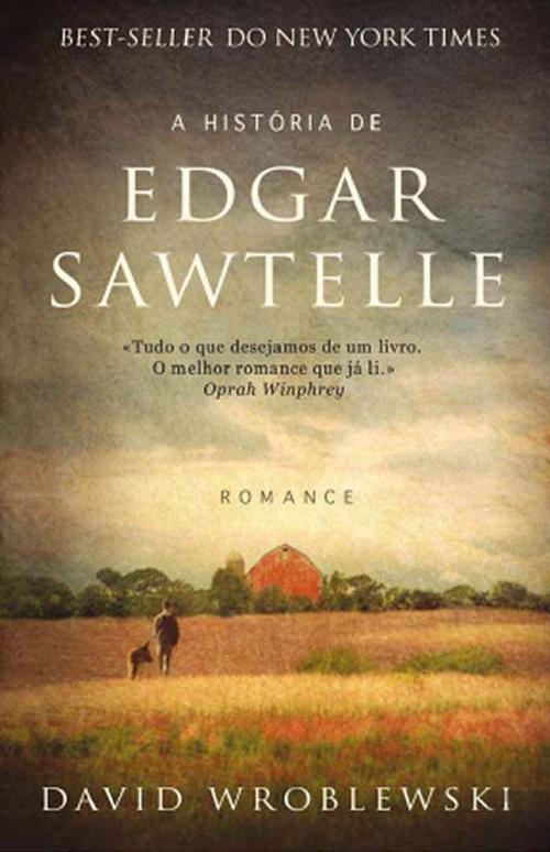 LIVRO A História de Edgar Sawtelle de David Wroblewski - USADO
