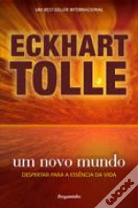 LIVRO - Um Novo Mundo Despertar para a Essência da Vida de Eckhart Tolle - USADO