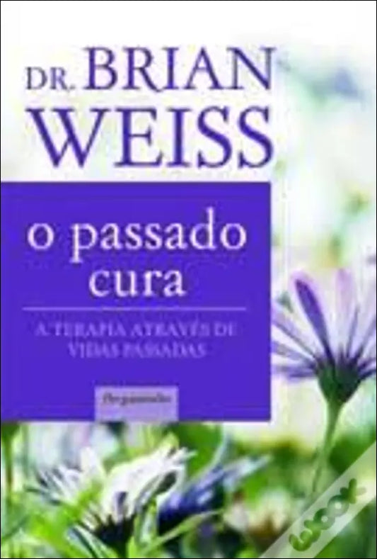 LIVRO - O Passado Cura A terapia através de vidas passadas (Edição Compacta) de Dr. Brian Weiss - USADO