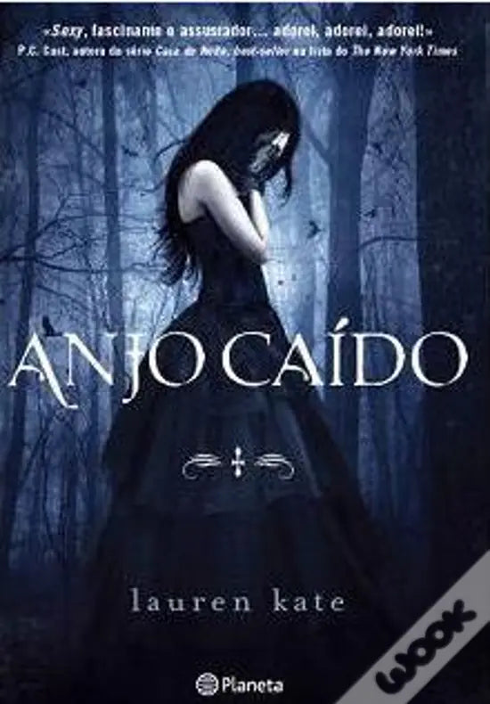 LIVRO - Anjo Caído Série Anjo Caído de Lauren Kate; Tradução: Maria Inês Castro - USADO