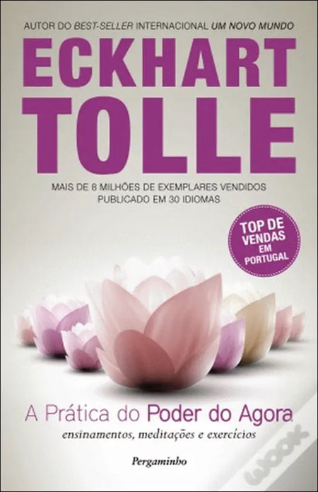 LIVRO - A Prática do Poder do Agora de Eckhart Tolle - USADO