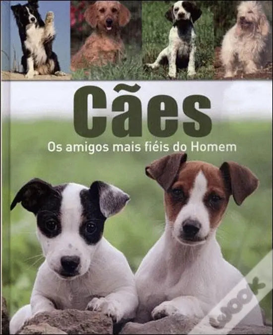 LIVRO - Cães Os amigos mais fiéis do Homem de Birgit Adam - USADO