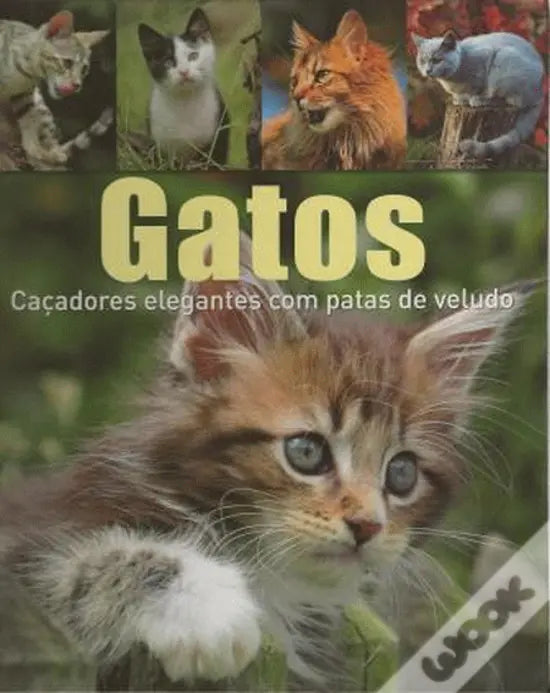 LIVRO - Gatos Caçadores elegantes com patas de veludo - USADO