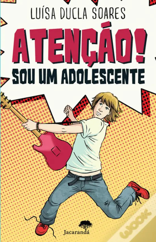 LIVRO - Atenção! Sou Um Adolescente de Luísa Ducla Soares - USADO