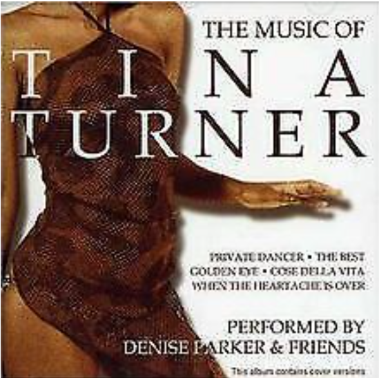 CD - THE MUSIC OF TINA TURNER - USADO