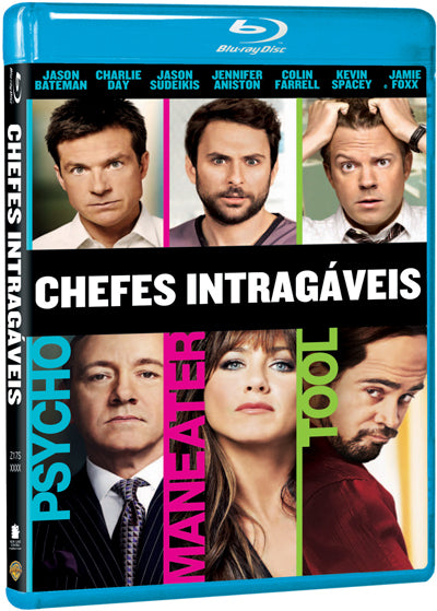 DVD CHEFES INTRAGÁVEIS - USADO