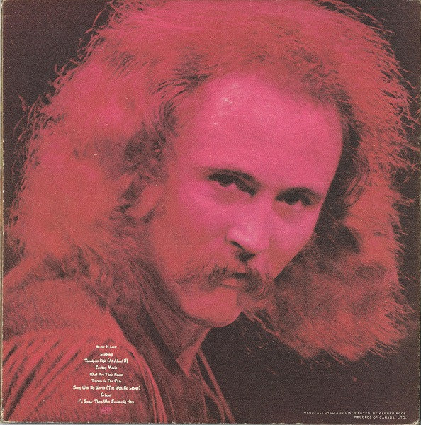 LP VINYL - David Crosby – If I Could Only Remember My Name - USADO