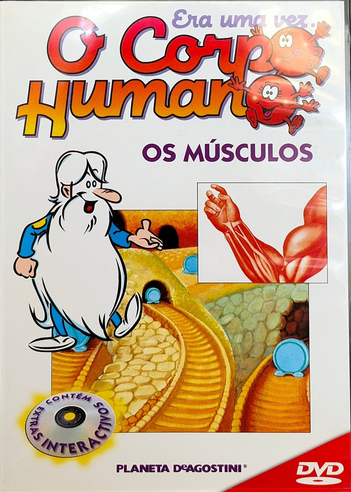 DVD O Corpo Humano: Os Músculos - Usado