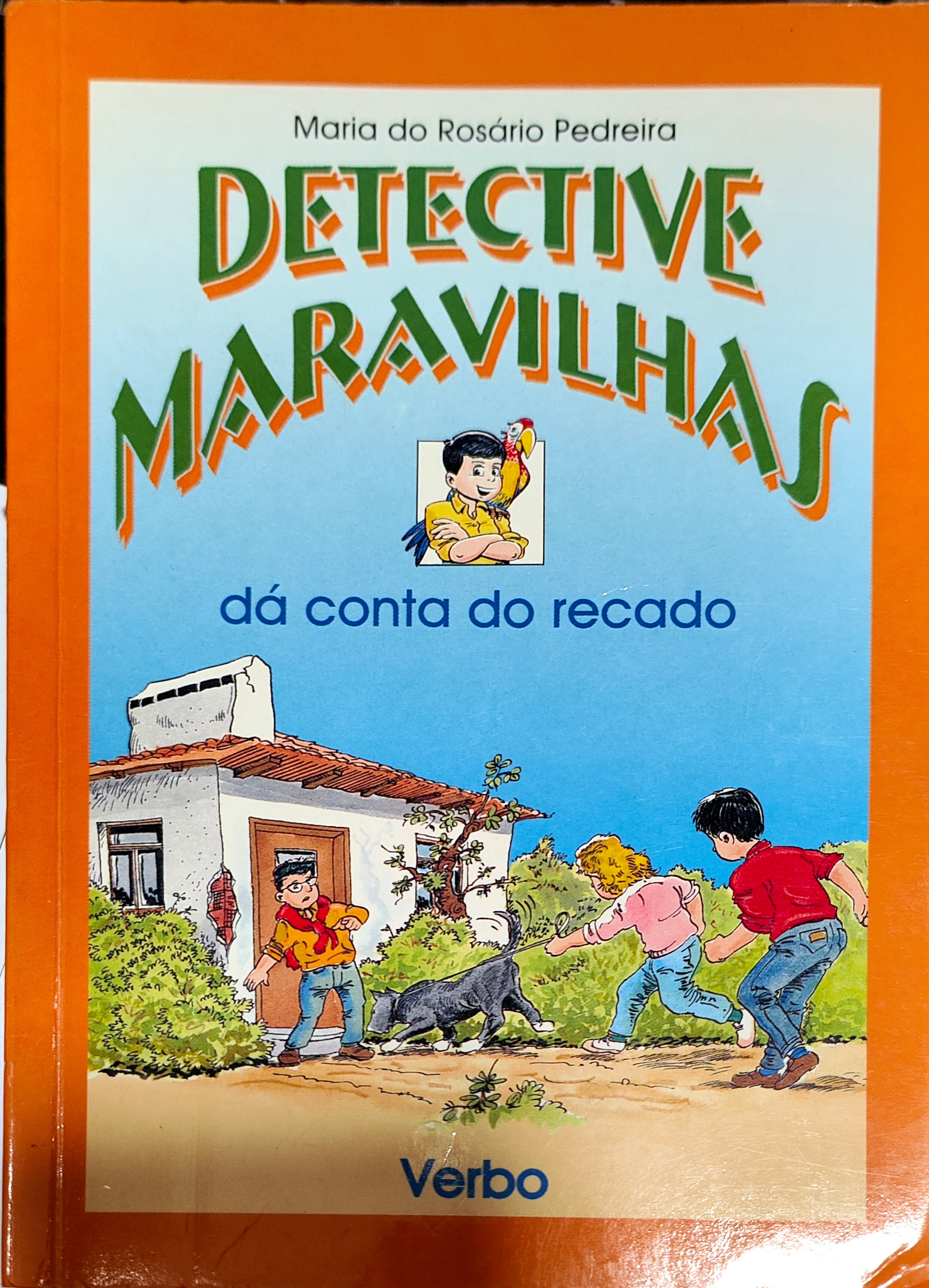 LIVRO - Detective Maravilhas - Dá Conta do Recado de Maria do Rosário Pedreira - USADO