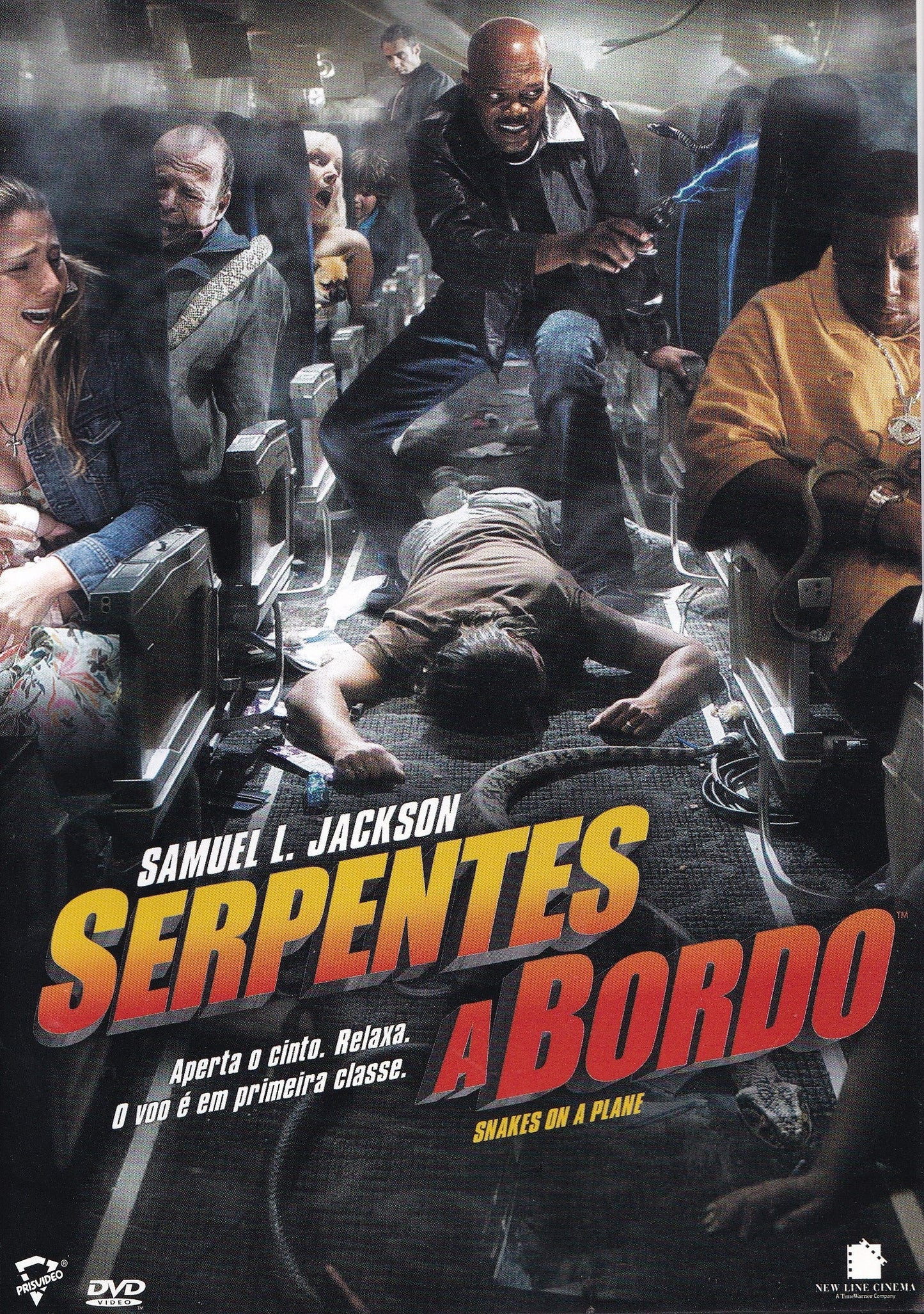 DVD Serpentes a Bordo - USADO
