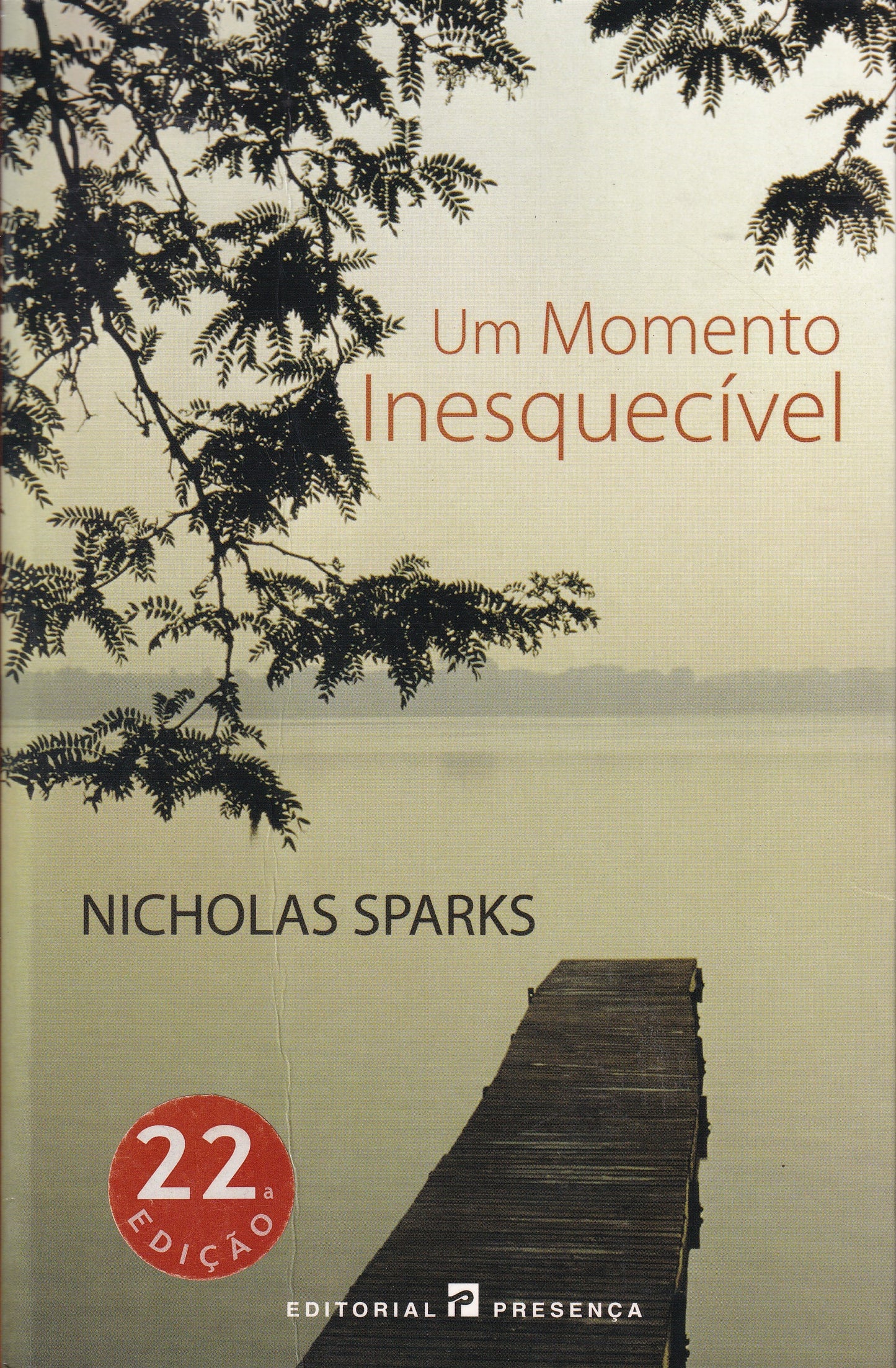 LIVRO Um Momento Inesquecível DE Nicolas Sparks - USADO
