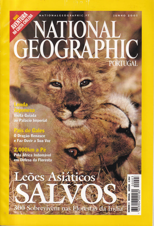 Revista National Geographic Portugal #3 (Leões Asiáticos) Jun.2001 - USADO