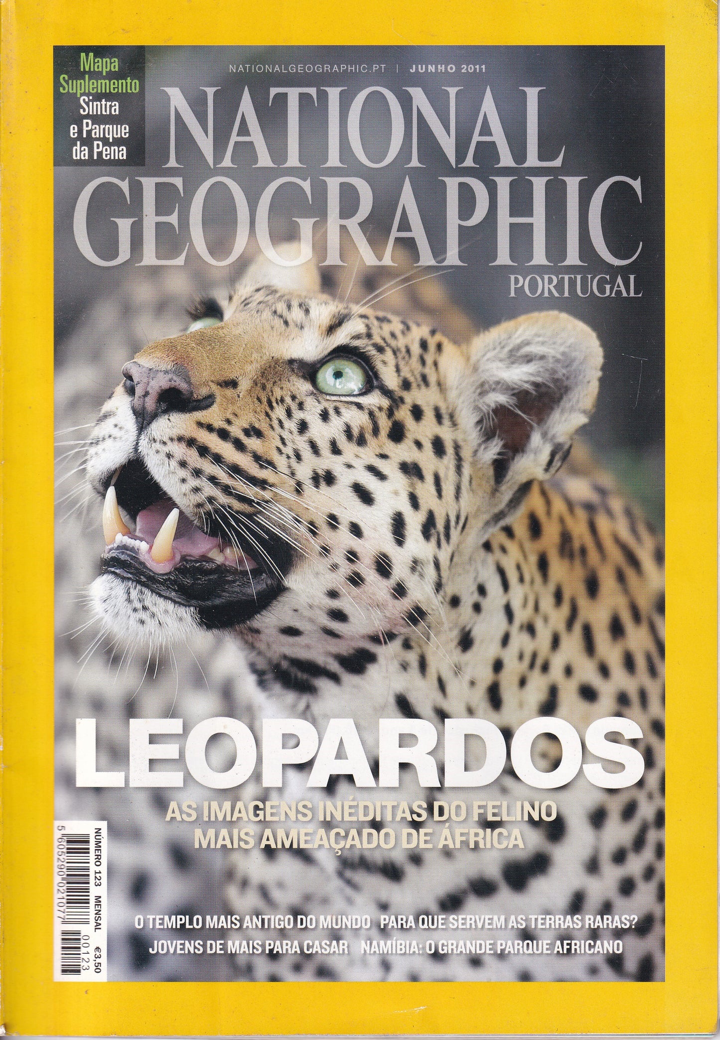 Revista National Geographic Portugal #123 (Leopardos) Jun.2011- USADO