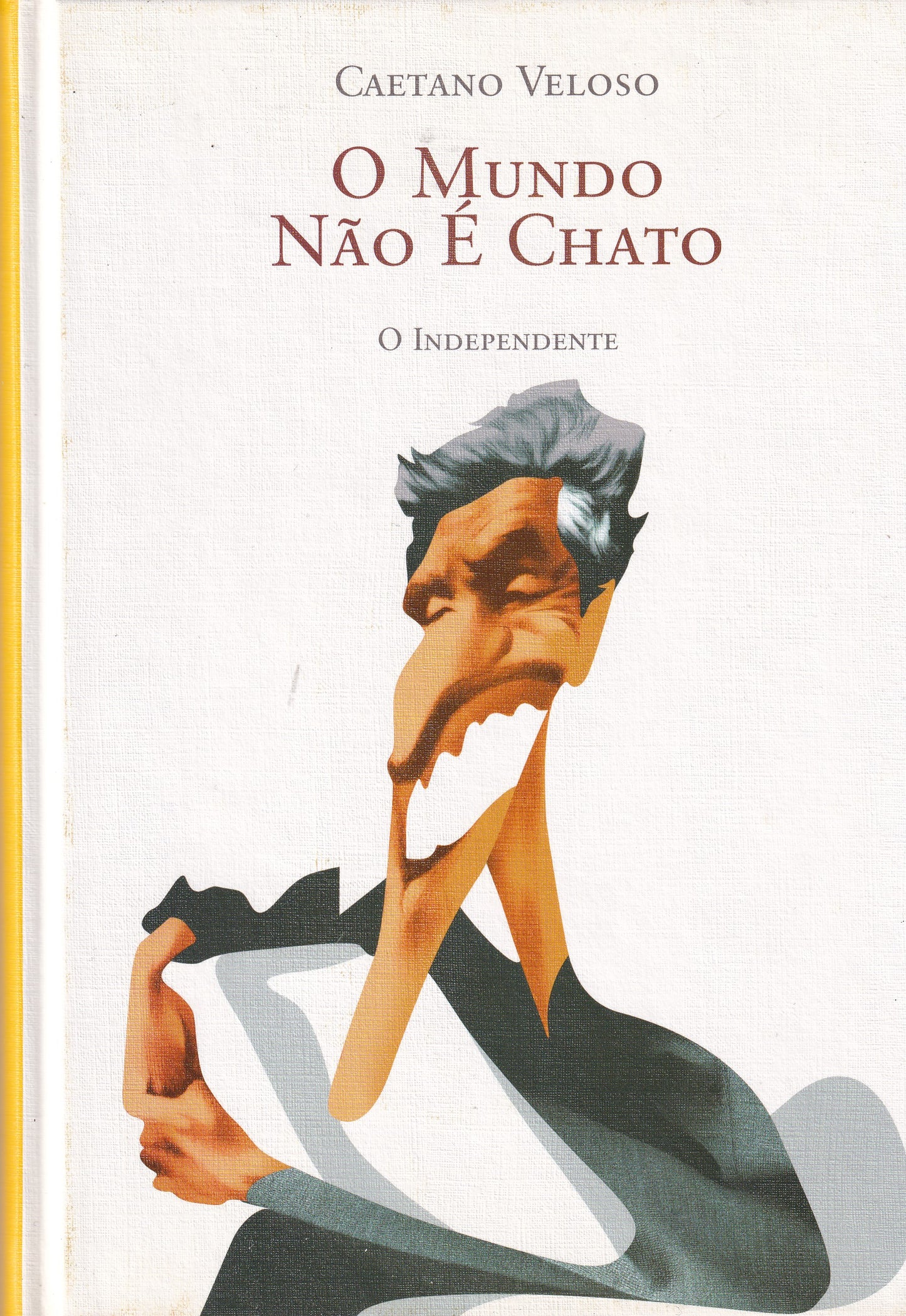 Livro O Mundo Não é Chato de Caetano Veloso - USADO