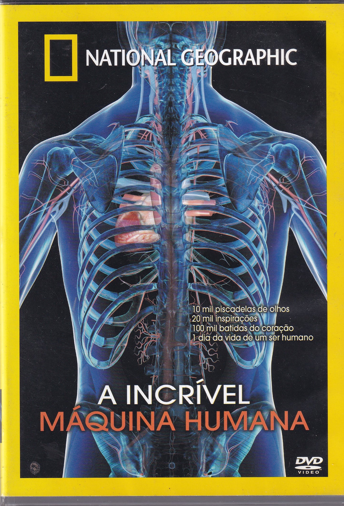 DVD National Geographic A Incrível Maquina Humana - USADO