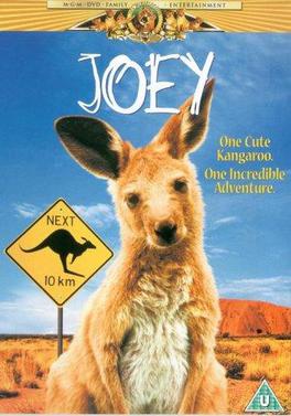 DVD Joey - Usado