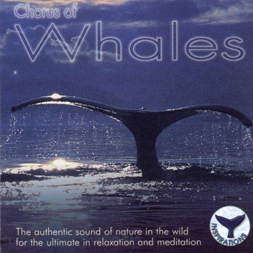 CD No Artist – Chorus Of Whales - USADO