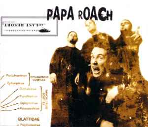 CD - PAPA ROACH - LAST RESORT - USADO
