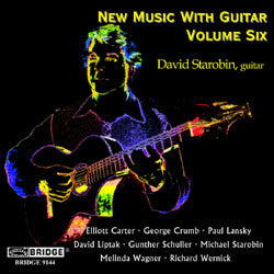 CD David Starobin – New Music With Guitar, Vol.6 - USADO