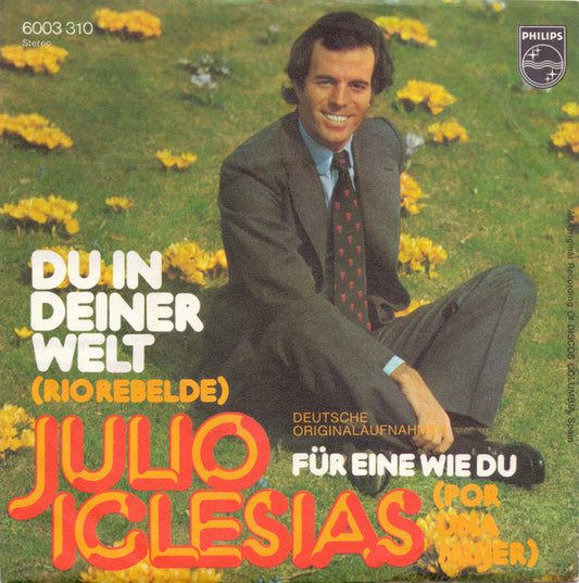 Disco Vinyl Julio Iglesias – Du In Deiner Welt (Rio Rebelede) - USADO