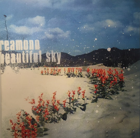 CD Reamonn – Beautiful Sky USADO