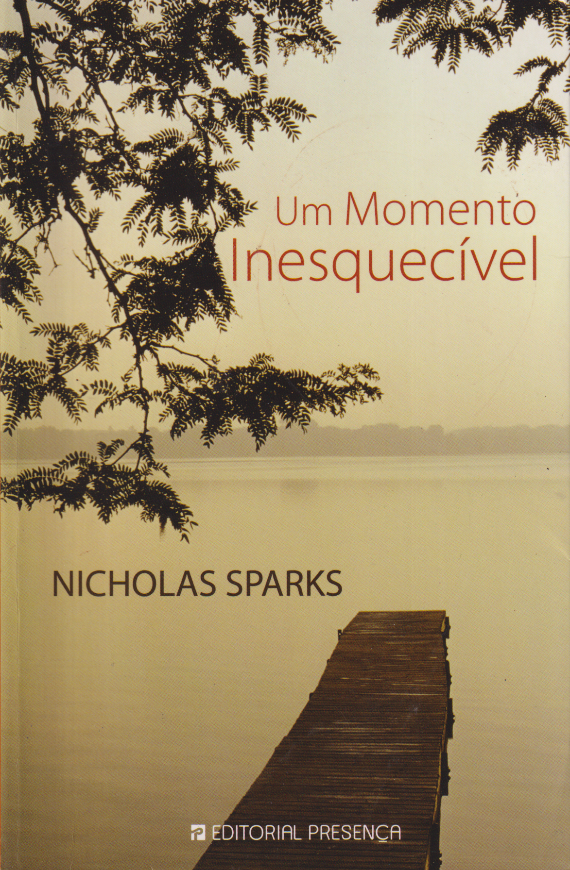 Livro -  Um Momento Inesquecível de Nicholas Sparks - USADO