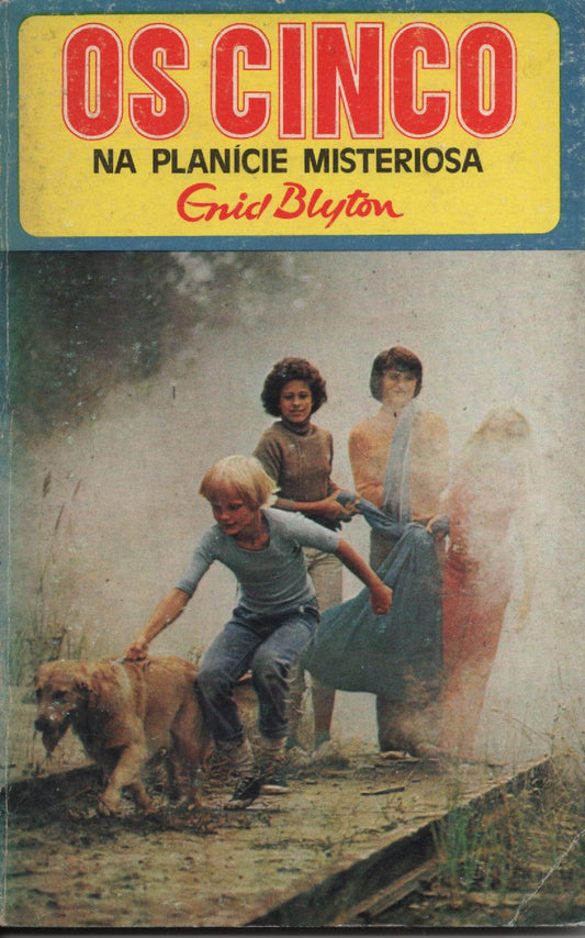 Livro Os Cinco na Planicie misteriosa  #13 De Enid Blyton (1977)