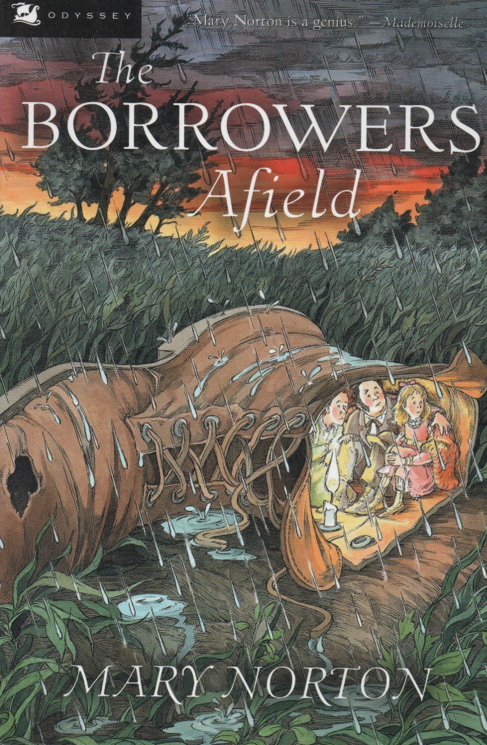 Livro - The Borrowers Afield - USADO