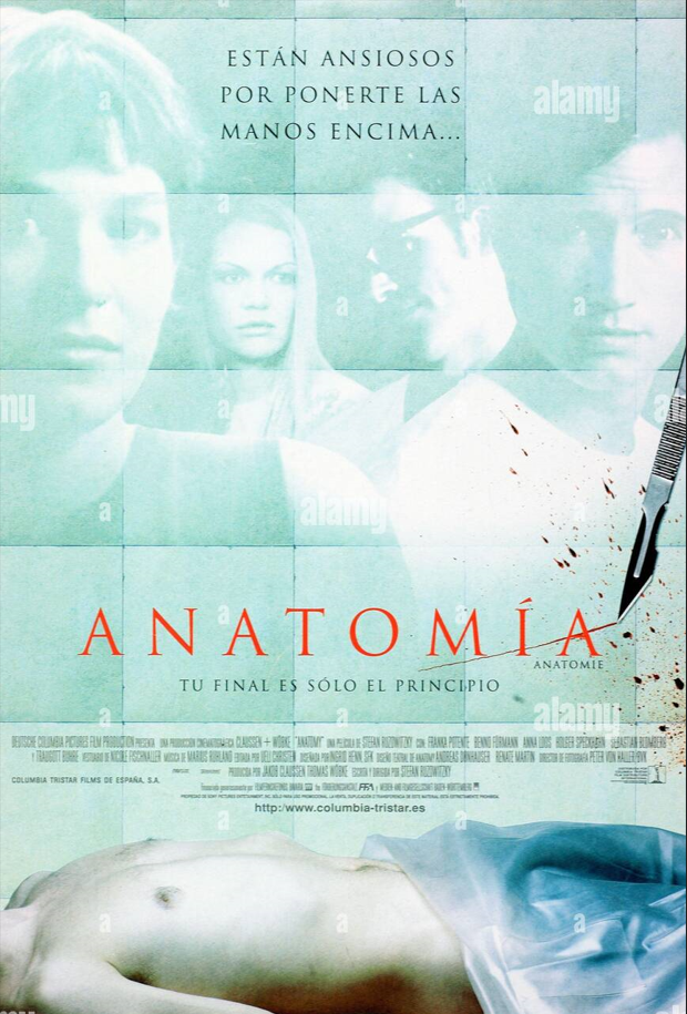 DVD Anatomia - Usado