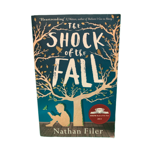 LIVRO The Shock Of The Fall de Nathan Filer - USADO