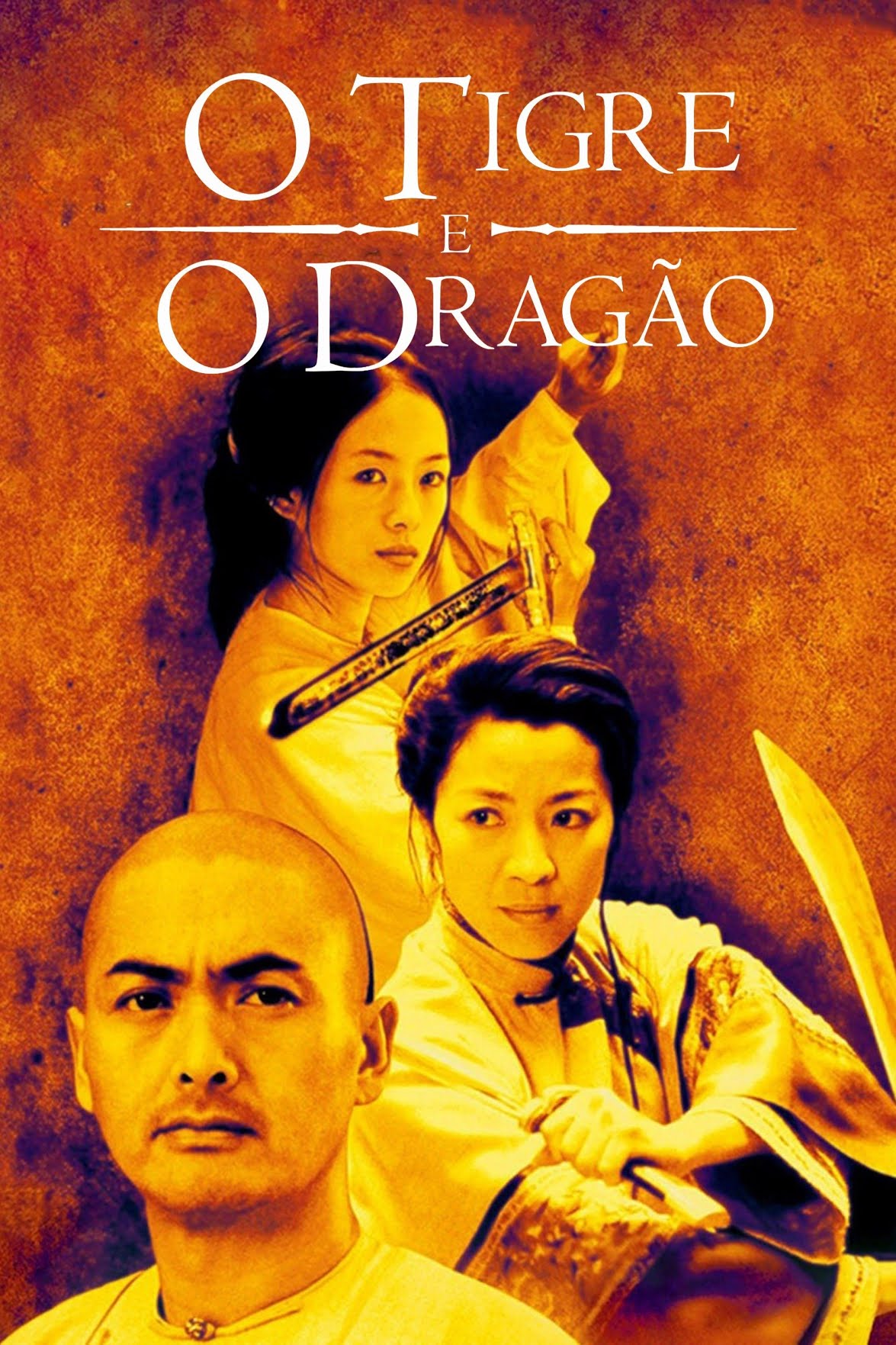 DVD O Tigre e o Dragão - Usado