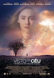 DVD Visto do Céu - Usado