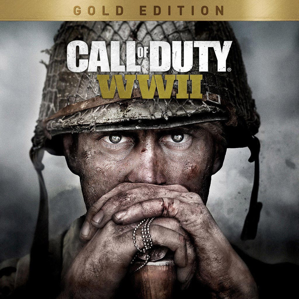 PC CDROM Call Of Duty WWII - Usado