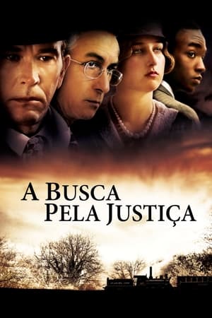 DVD A Busca pela Justiça - USADO