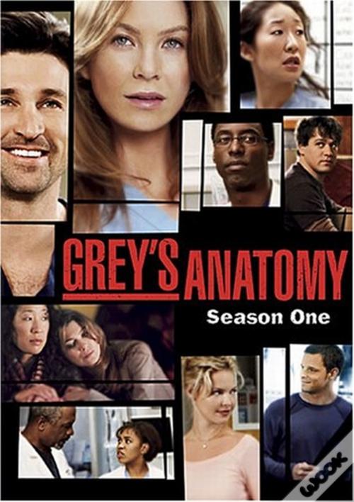DVD Anatomia de Grey Primeira Temporada - USADO