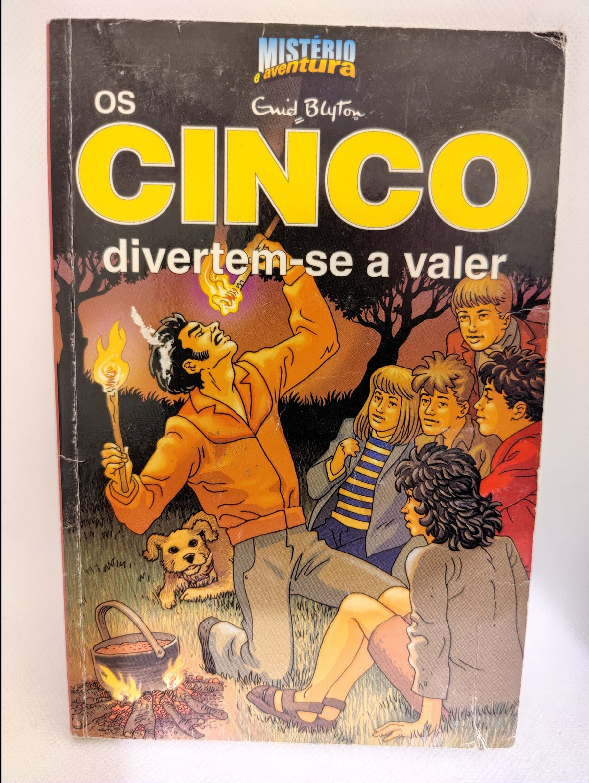 Livro Os Cinco Divertem-se a valer #11 - USADO