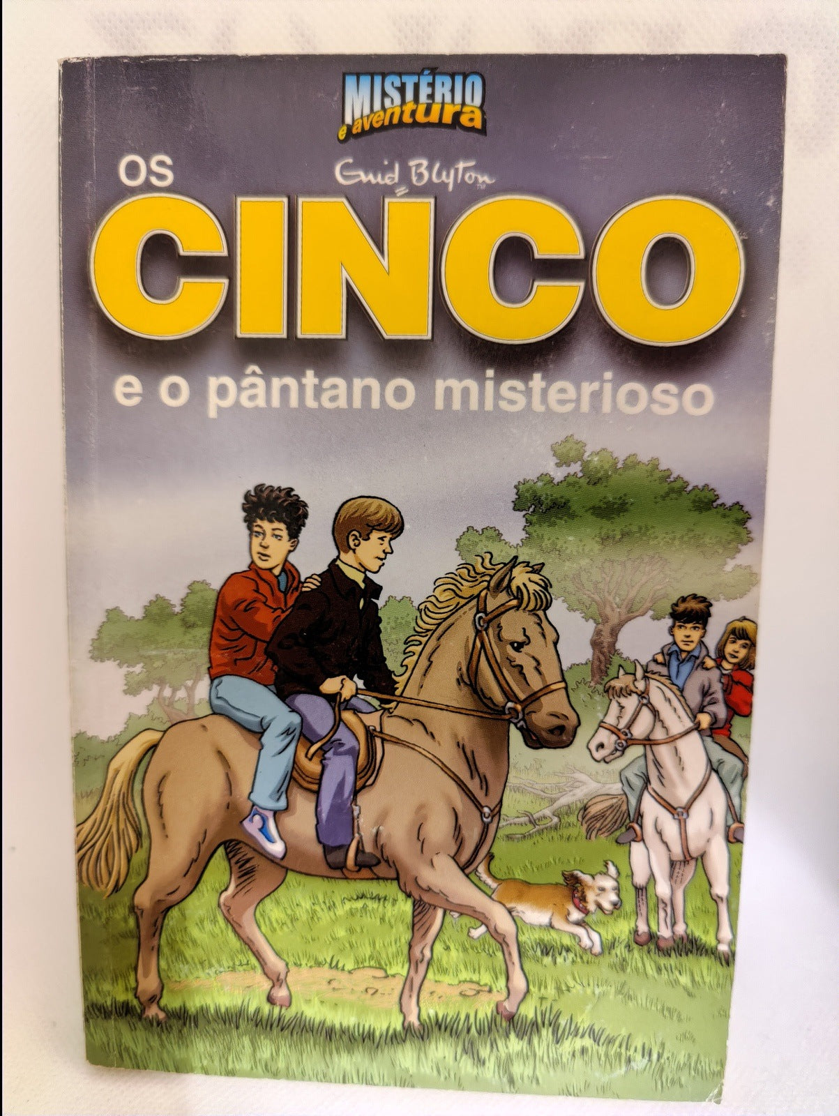 Livro Os Cinco E O PANTANO MISTERIOSO #13 - USADO