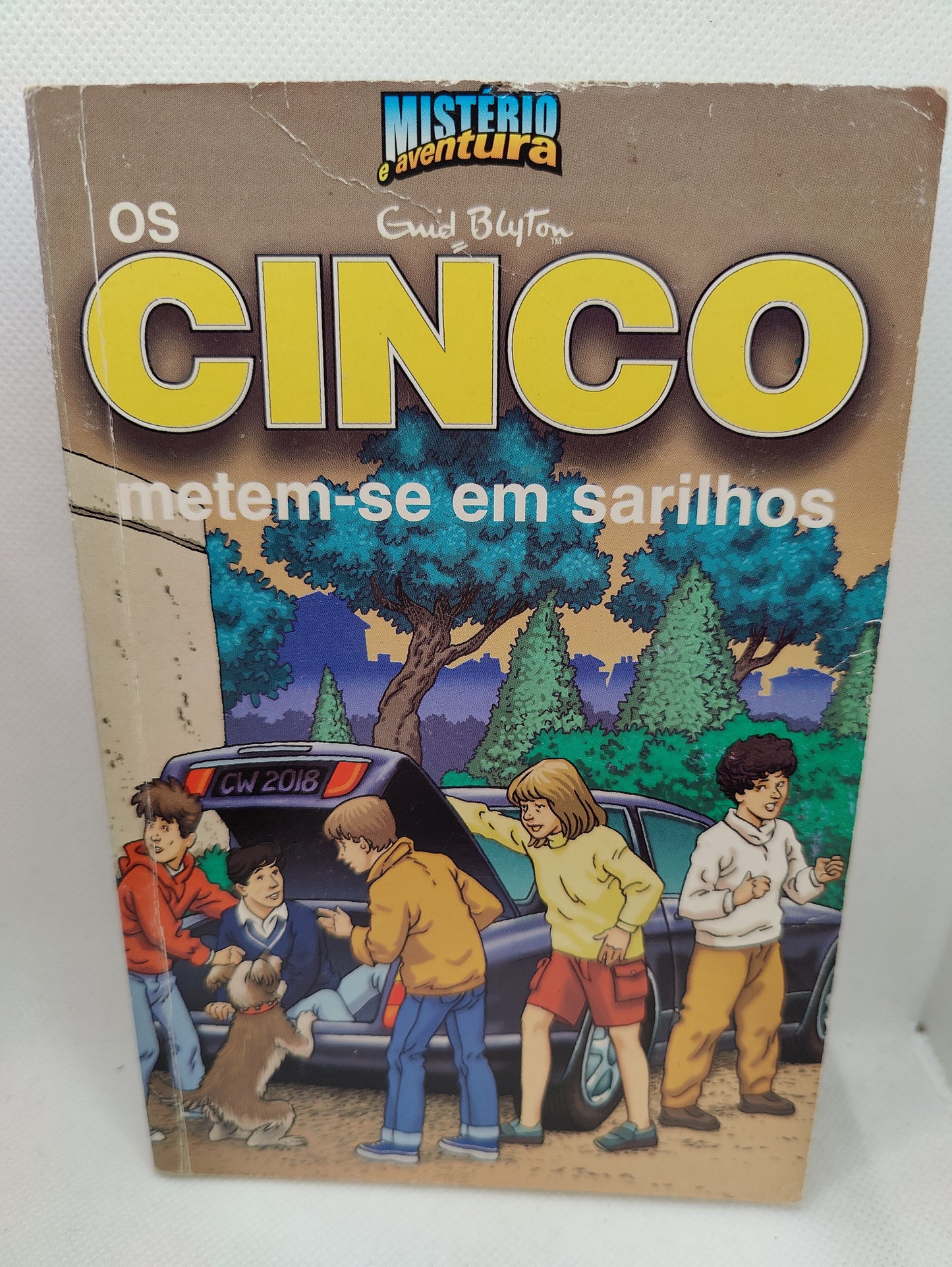 Livro Os CincoMETEM-SE EM SARILHOS #8 - USADO