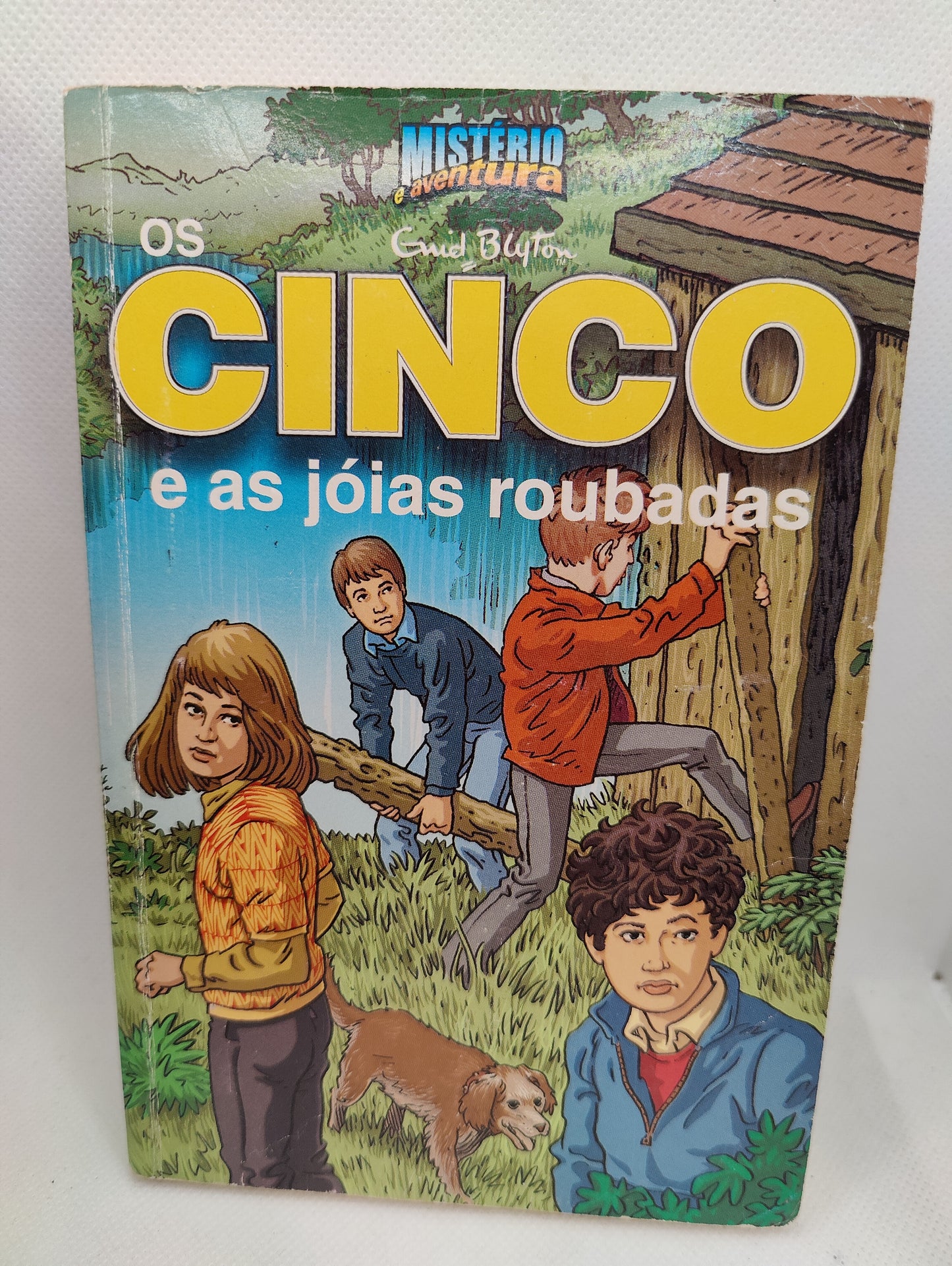 Livro Os Cinco E AS JOIAS ROUBADAS #10 - USADO