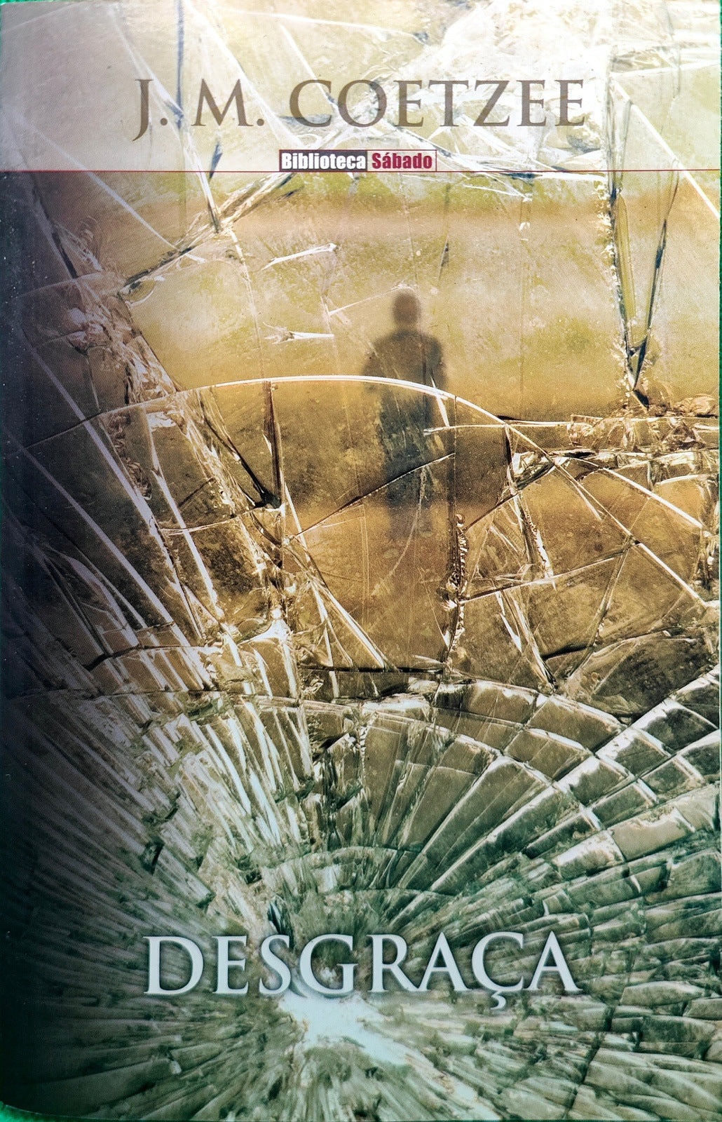 LIVRO Desgraça de J.M. Coetzee - USADO