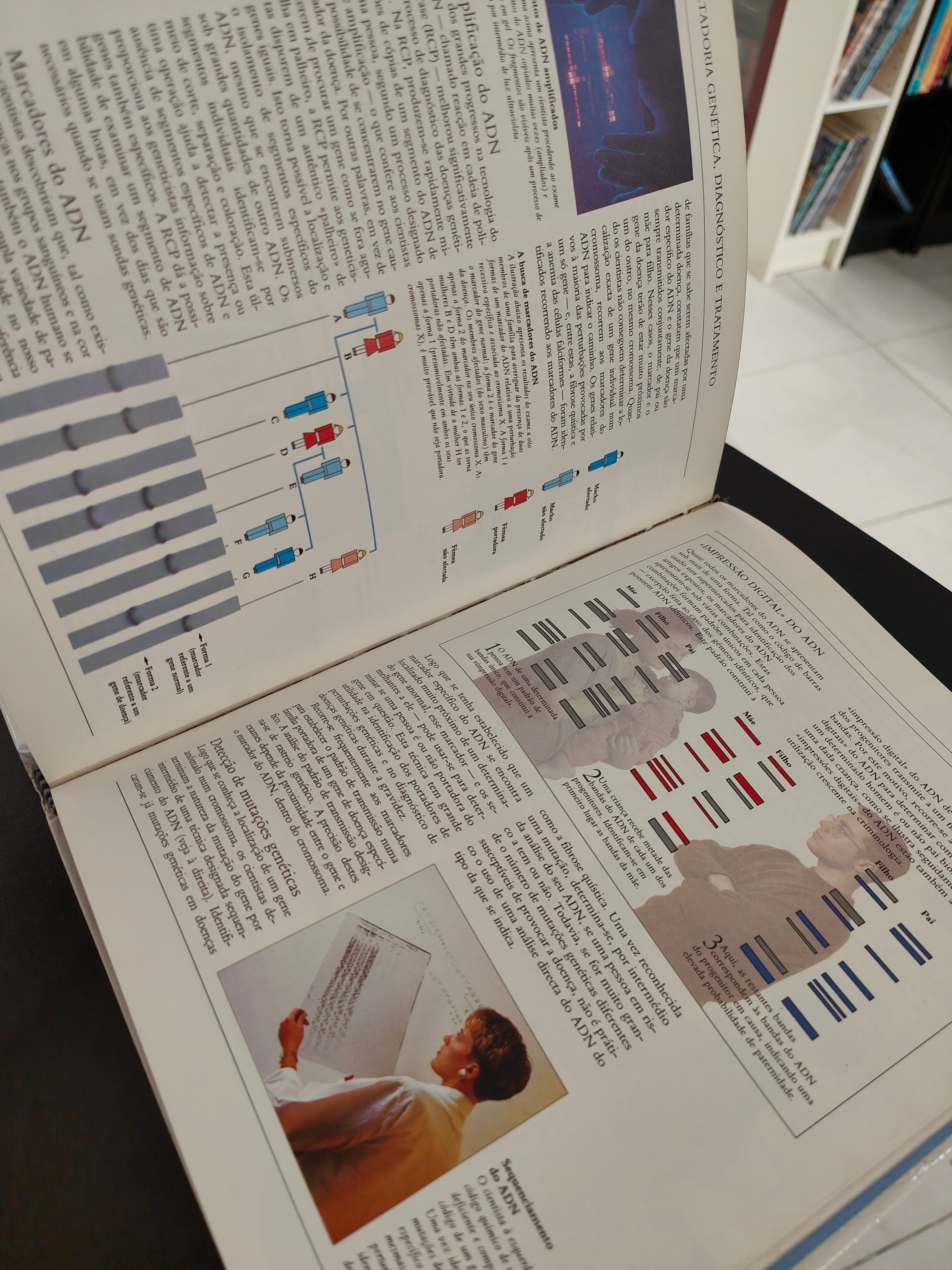 LIVRO Genes e Hereditariedade Cruz vermelha Portuguesa / Biblioteca Médica de Família - USADO