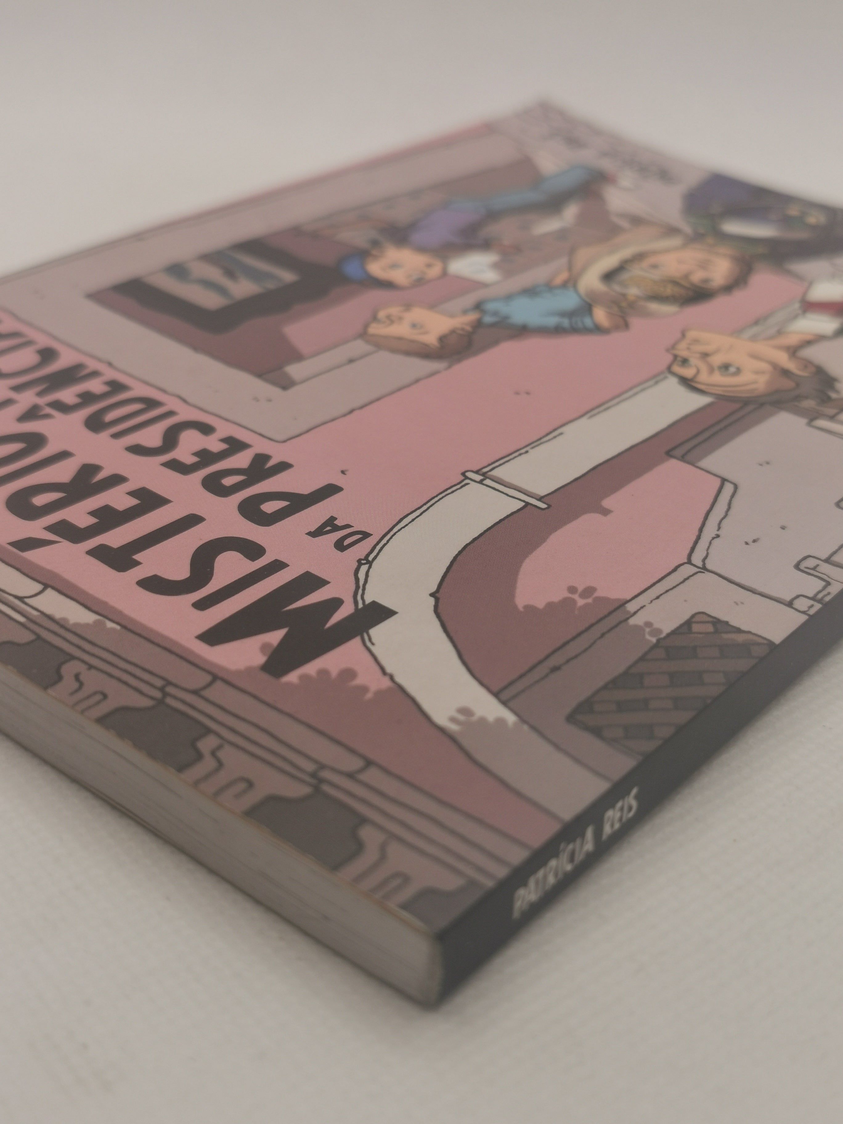 Livro Mistério no Museu da Presidência de Patrícia Reis- USADO