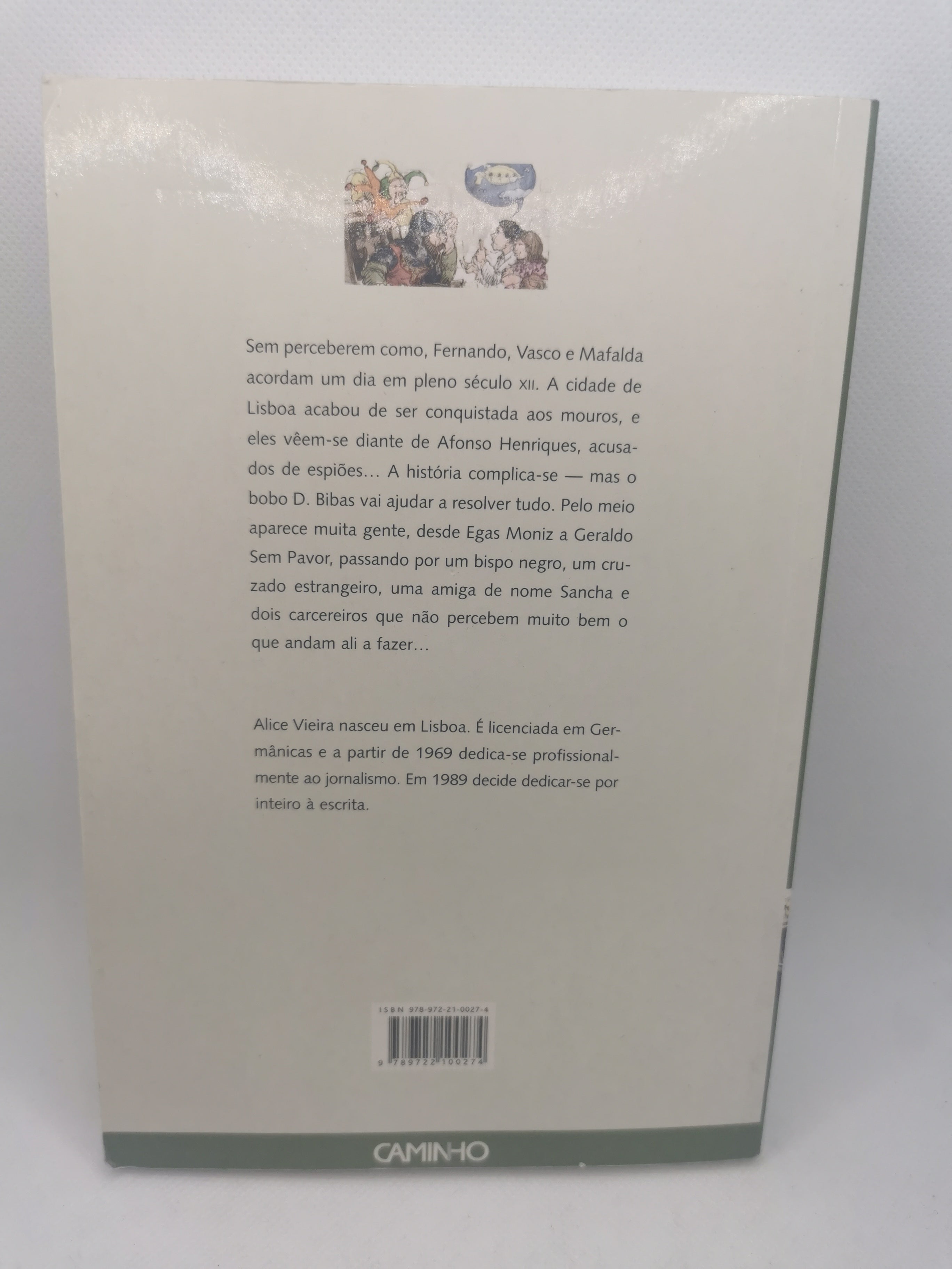 Livro A Espada do Rei Afonso de Alice Vieira - USADO