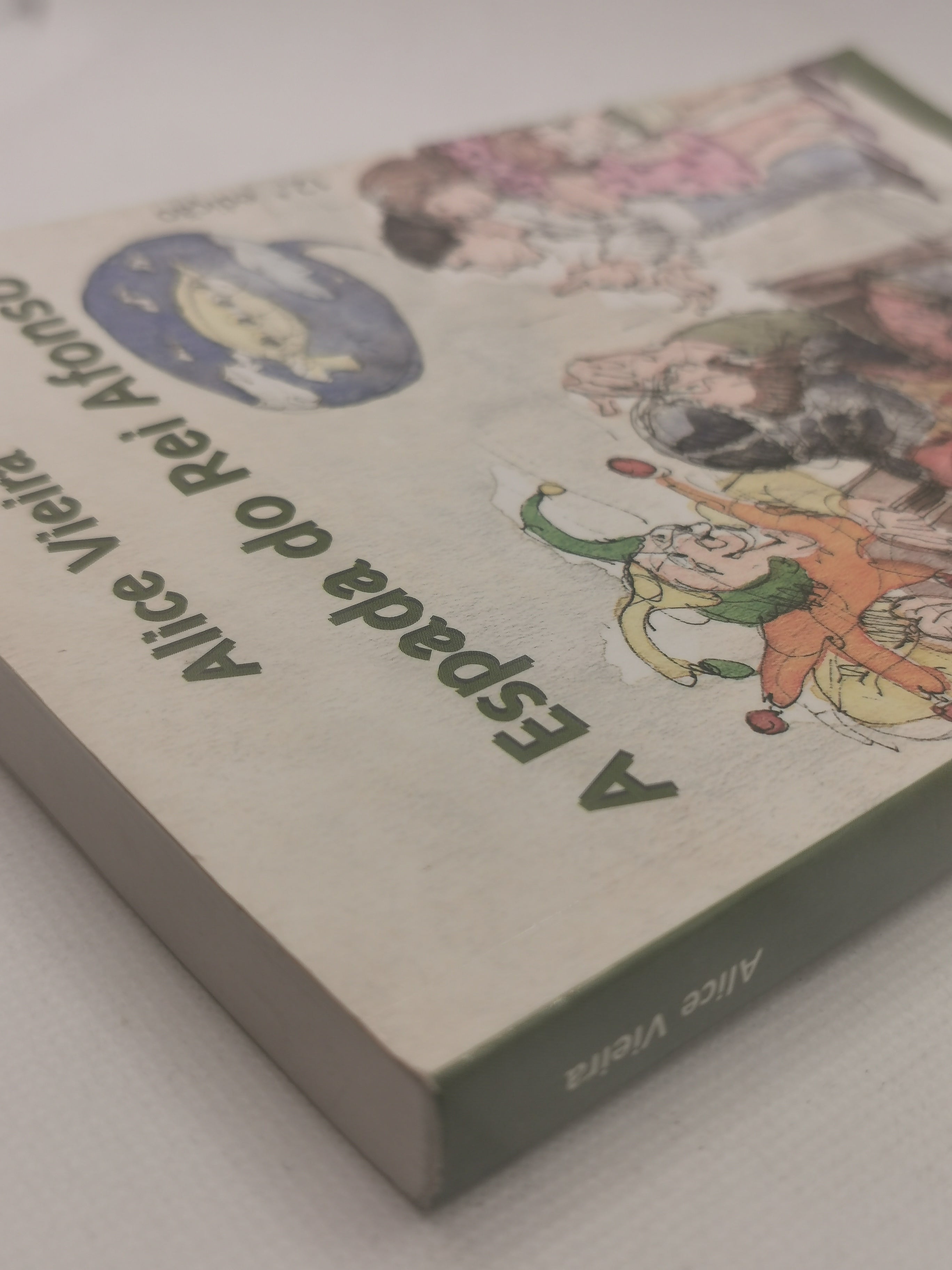 Livro A Espada do Rei Afonso de Alice Vieira - USADO