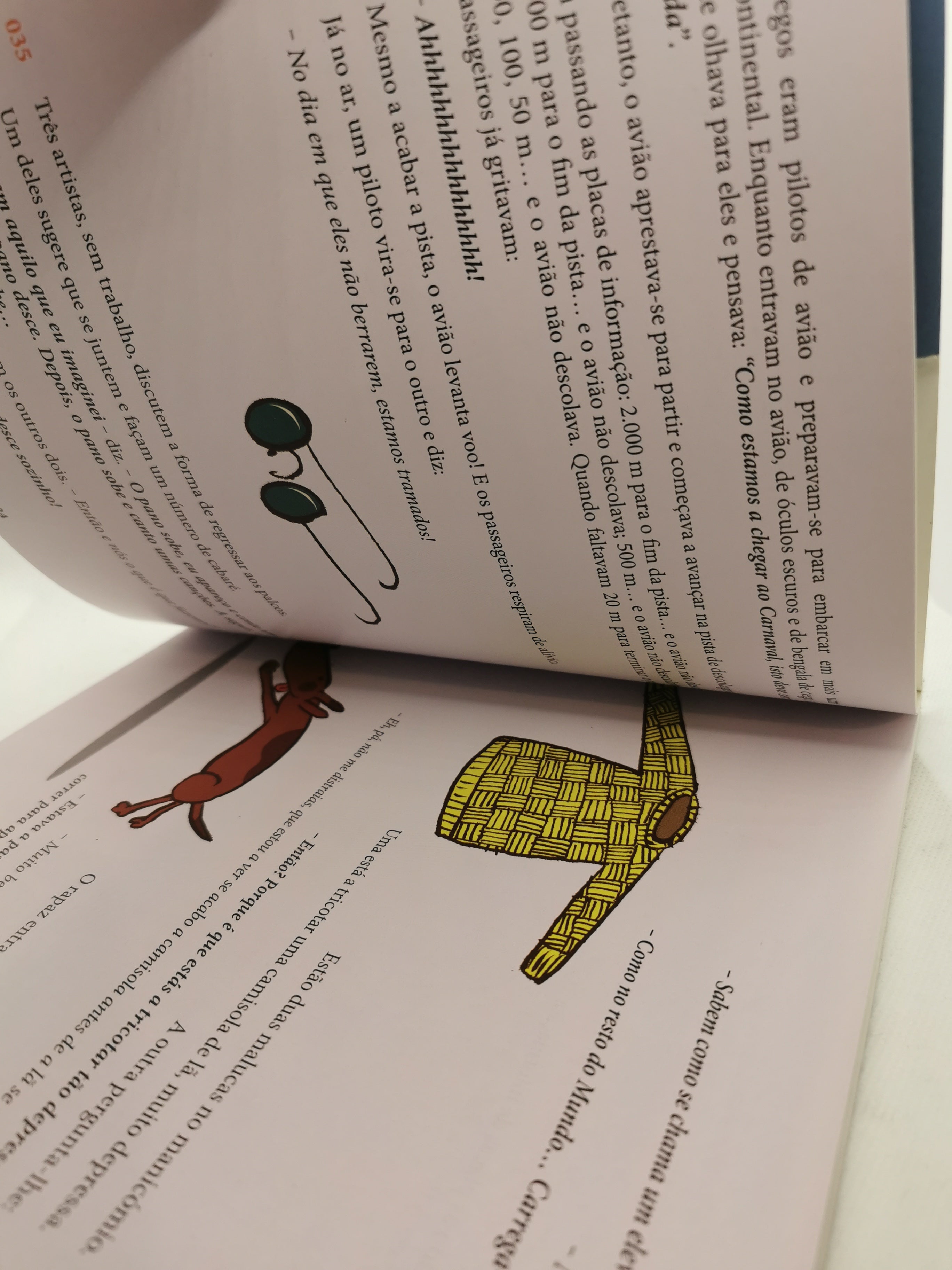 O Grande Livro das 365+1 Piadas - USADO